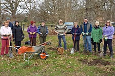 Spring bulbs free-for-all - Success!