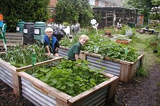 School Gardening Grants Appeal