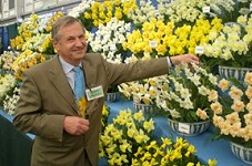 Spring Bulbs Free For All